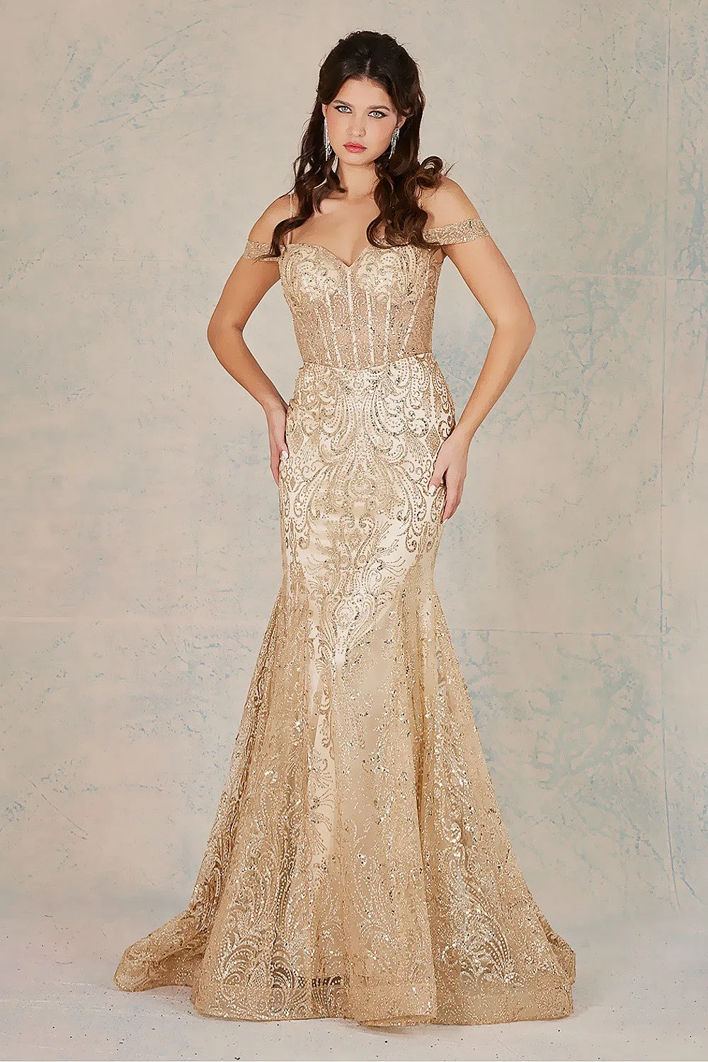 AD 3076 - Off The Shoulder Prom Gown With Glitter Detailing & Sheer Boned Bodice