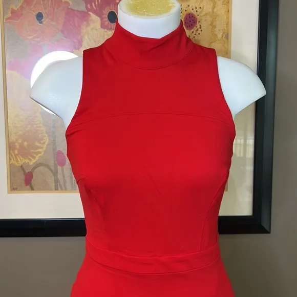 ALI &amp; JAY Melt My Heart Mock Neck Fit &amp; Flare Stretch Mini Dress Size Small