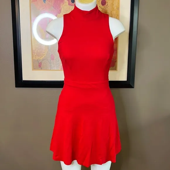 ALI &amp; JAY Melt My Heart Mock Neck Fit &amp; Flare Stretch Mini Dress Size Small