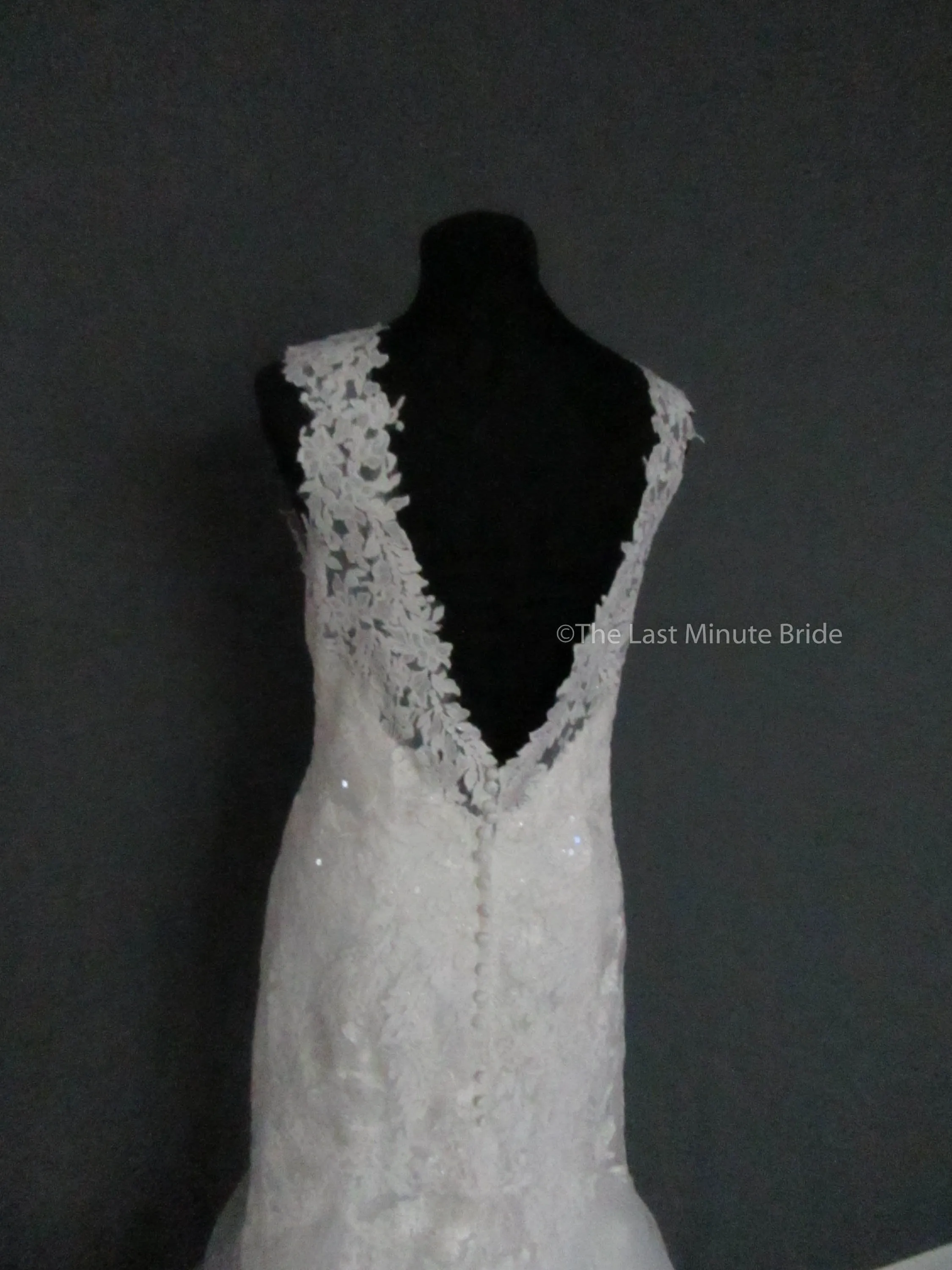 Allure Bridals L430