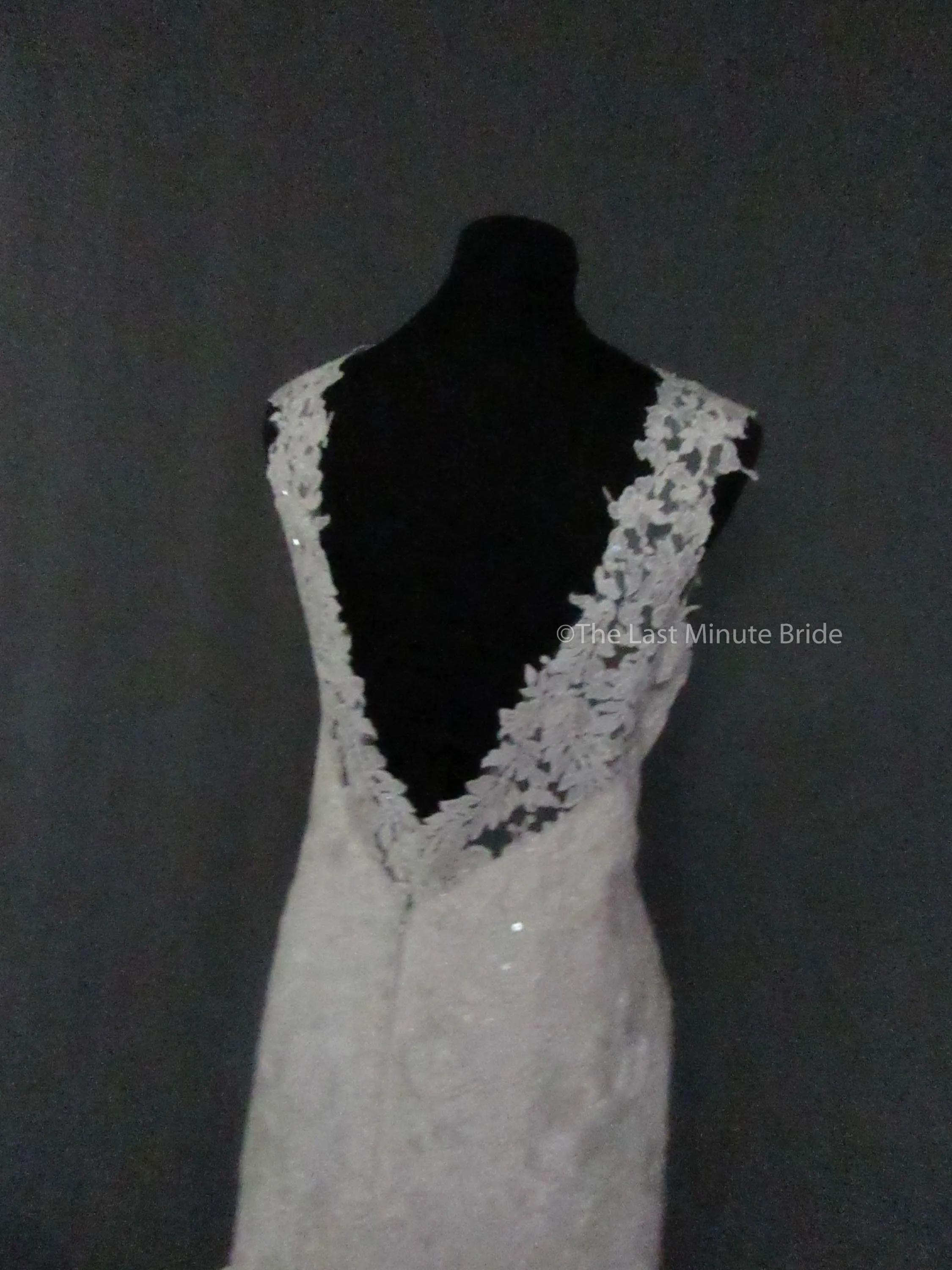 Allure Bridals L430