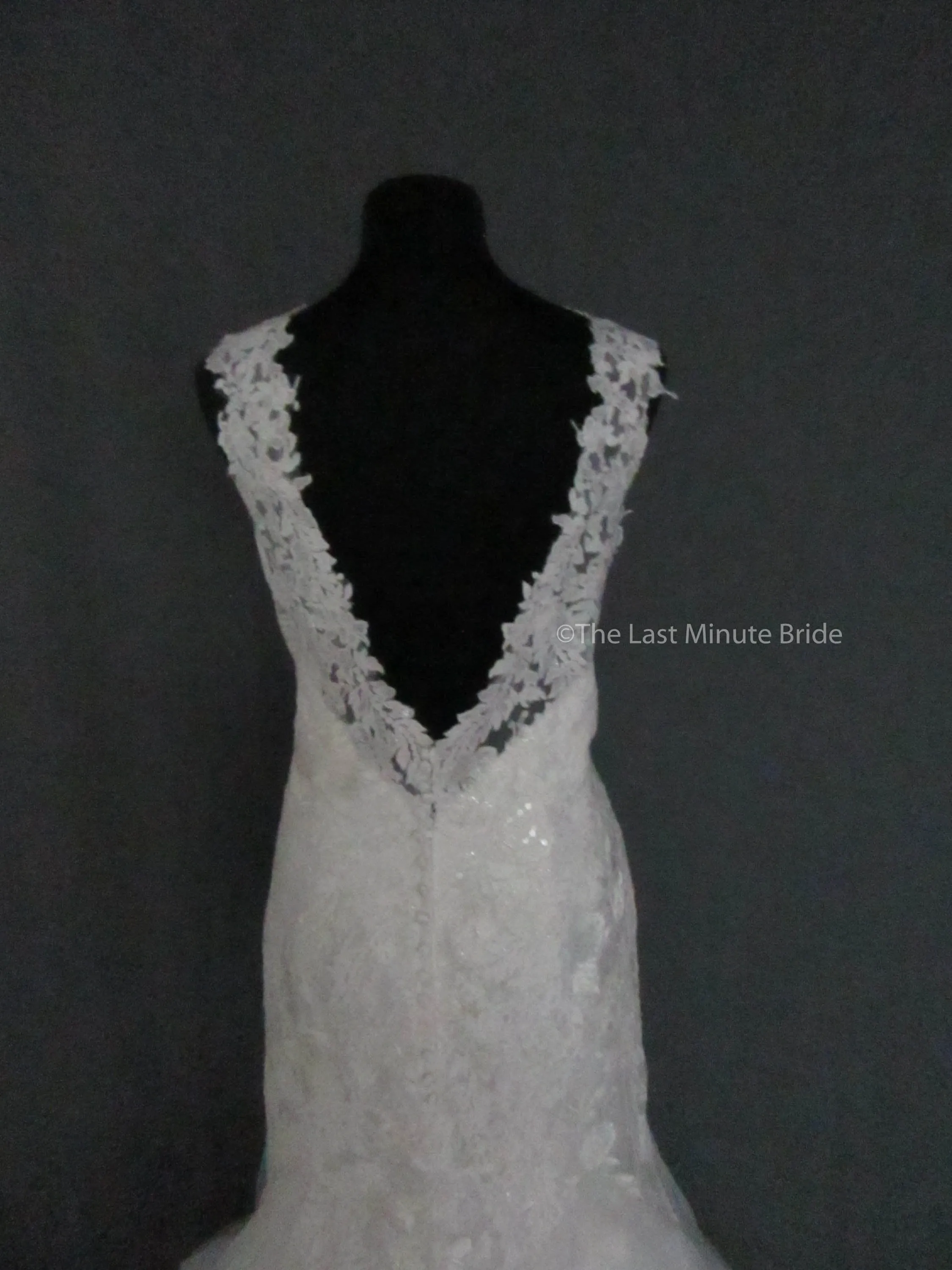 Allure Bridals L430