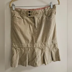 American Eagle Outfitters 1978 Vintage Pleated Skirt