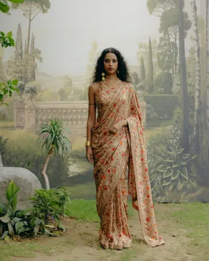 Biscuit brown saree