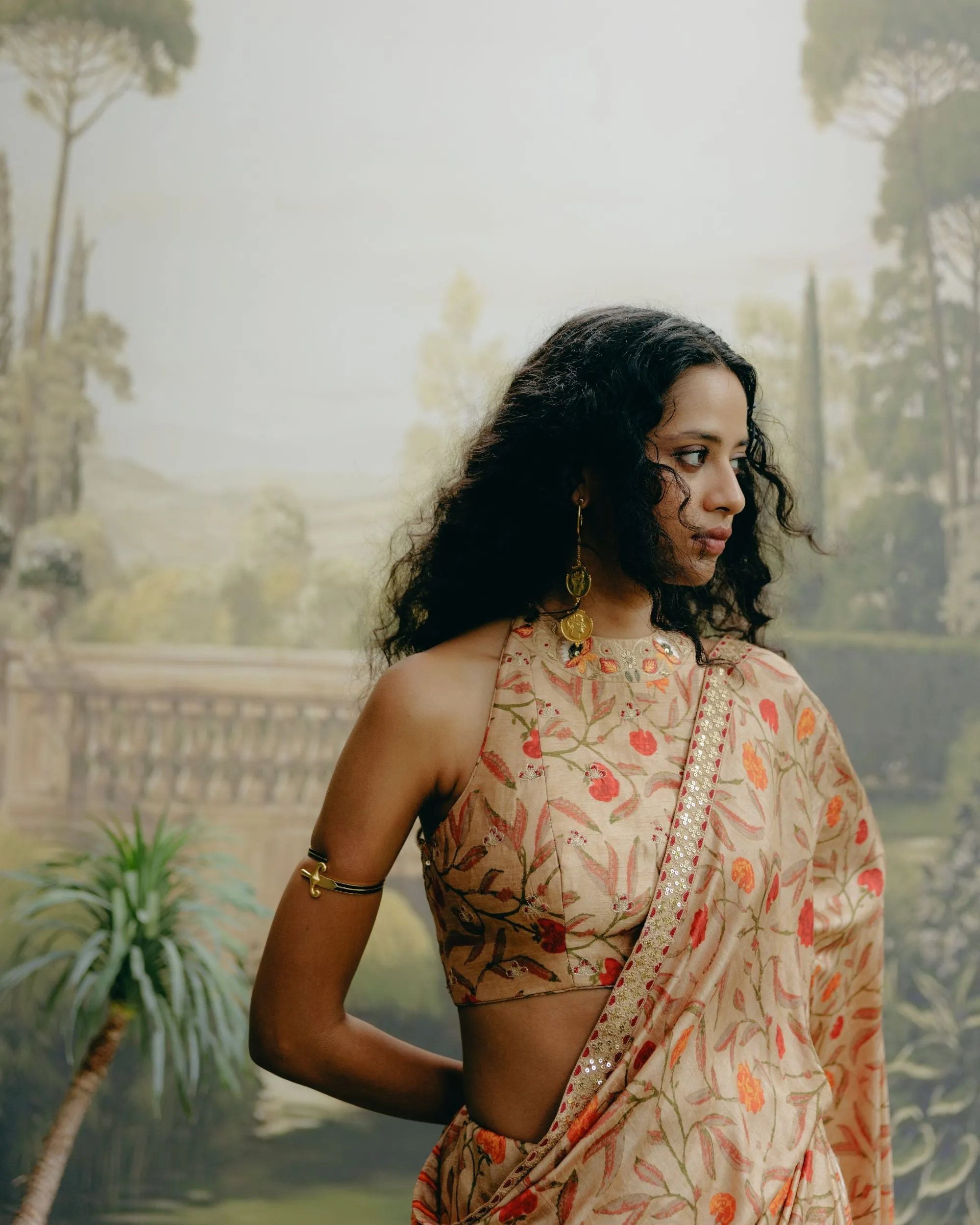 Biscuit brown saree