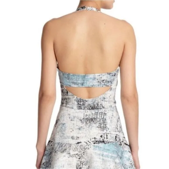 BNWT Parker Blue Leona Printed Fit-&amp;-flare…