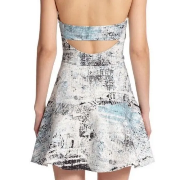BNWT Parker Blue Leona Printed Fit-&amp;-flare…