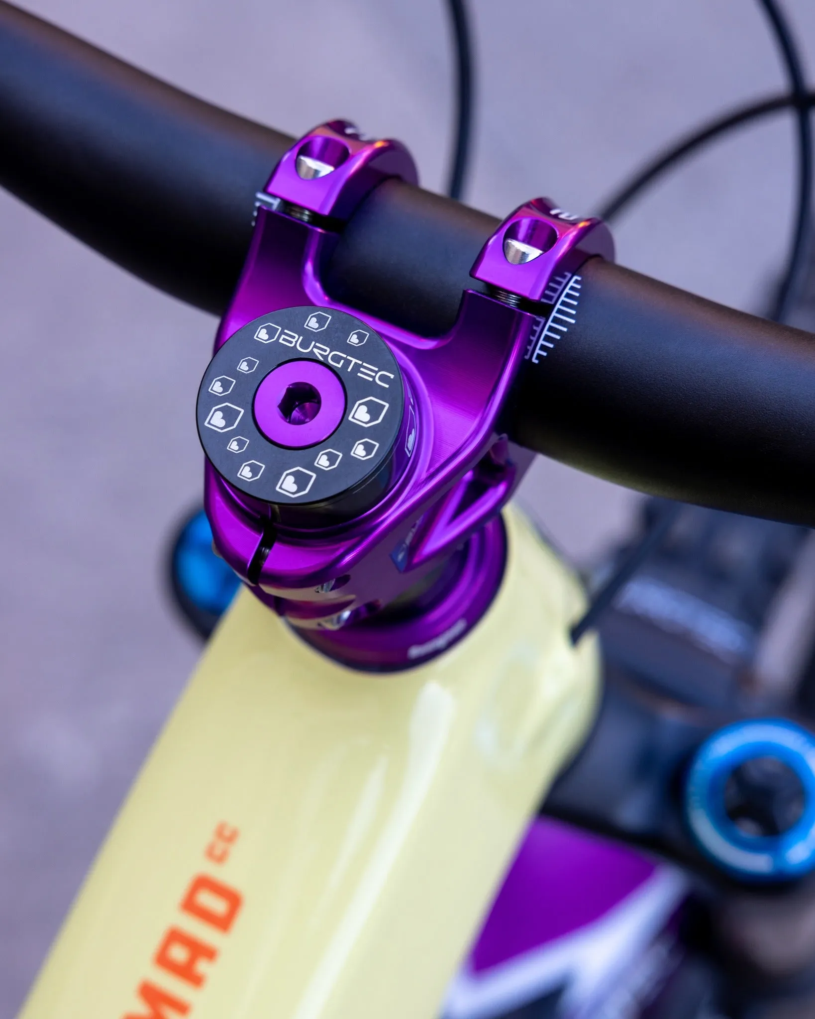 BURGTEC TOP CAP BOLT
