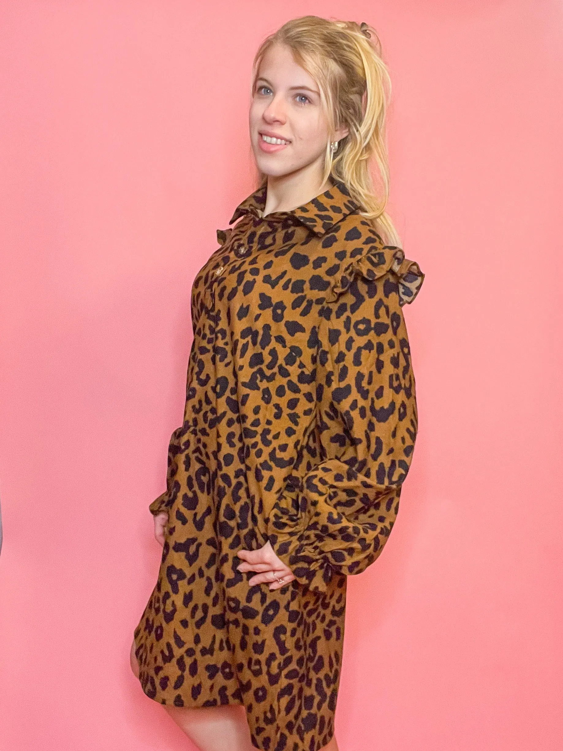 Chloe Leopard Dress