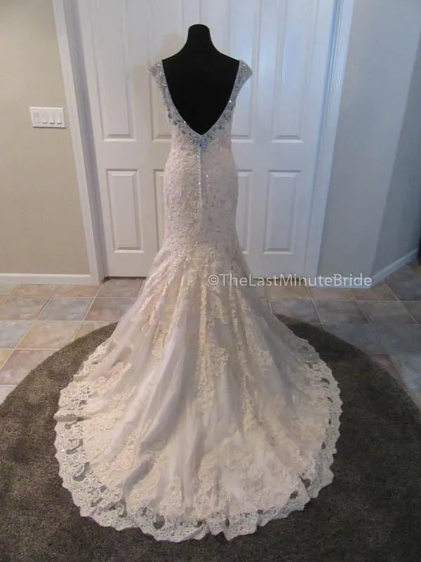 Christina Wu 15585