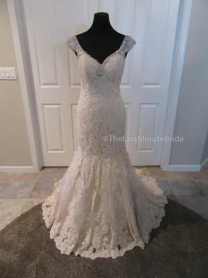 Christina Wu 15585