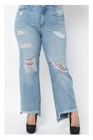 Denim & Rhinestones Curvy Distressed Jean