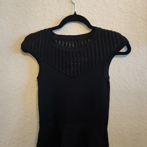 French Connection Rose Crepe Mesh Fit and Flare skater swing Dress sz 4 black