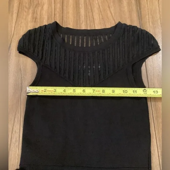 French Connection Rose Crepe Mesh Fit and Flare skater swing Dress sz 4 black