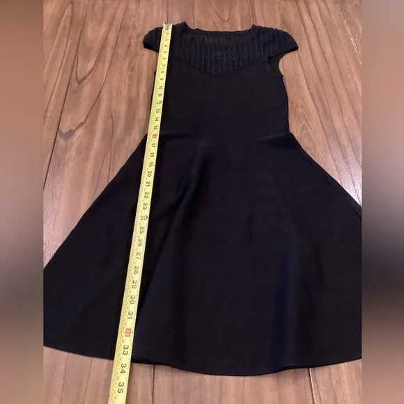 French Connection Rose Crepe Mesh Fit and Flare skater swing Dress sz 4 black