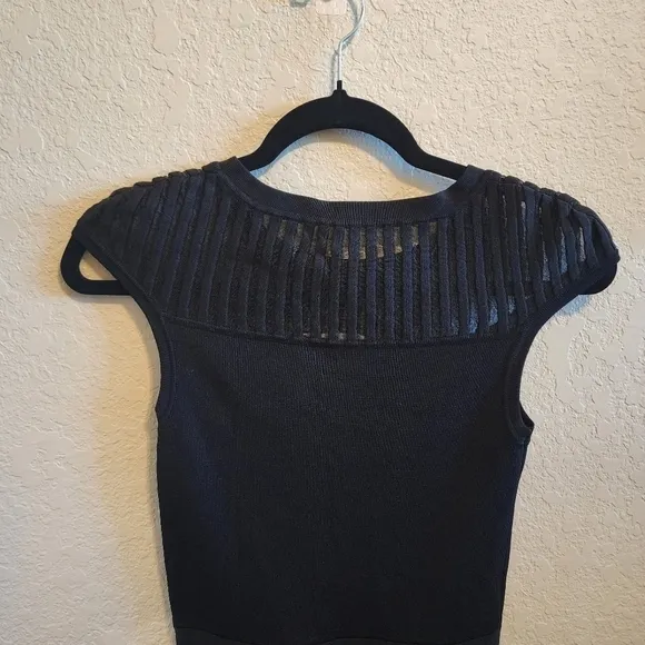French Connection Rose Crepe Mesh Fit and Flare skater swing Dress sz 4 black