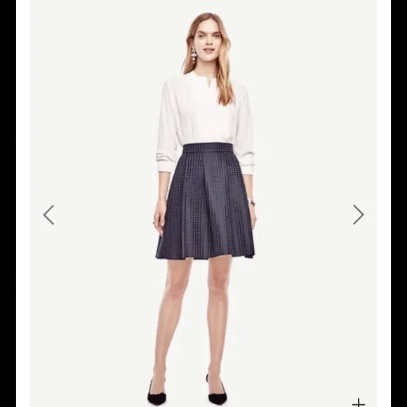 💓HP🎊Ann Taylor textured dot pleated skirt