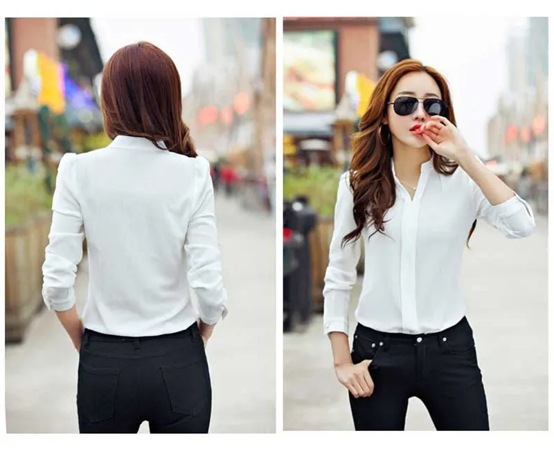Long Sleeve Chiffon Blouse