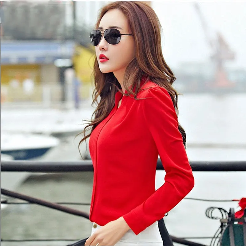 Long Sleeve Chiffon Blouse