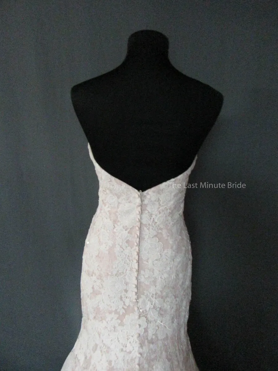 Madison James MJ221, multiple sizes