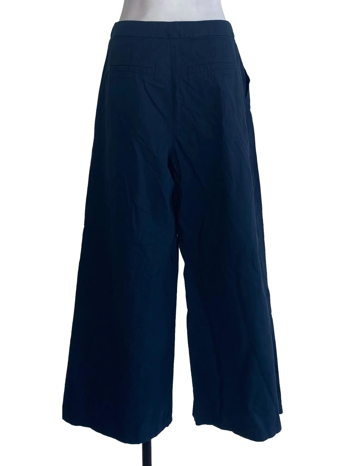 Navy Blue Pants