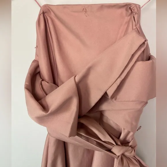 NWT KEEPSAKE The Label Pink Rose Strapless Pleated Tea Length Dress with Bodice