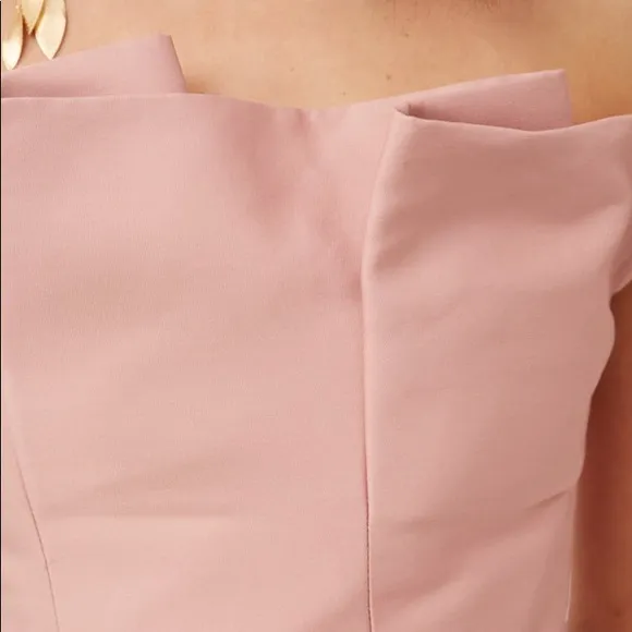 NWT KEEPSAKE The Label Pink Rose Strapless Pleated Tea Length Dress with Bodice
