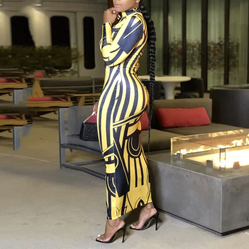 Print Turtleneck Long Sleeve Bodycon Maxi Dress