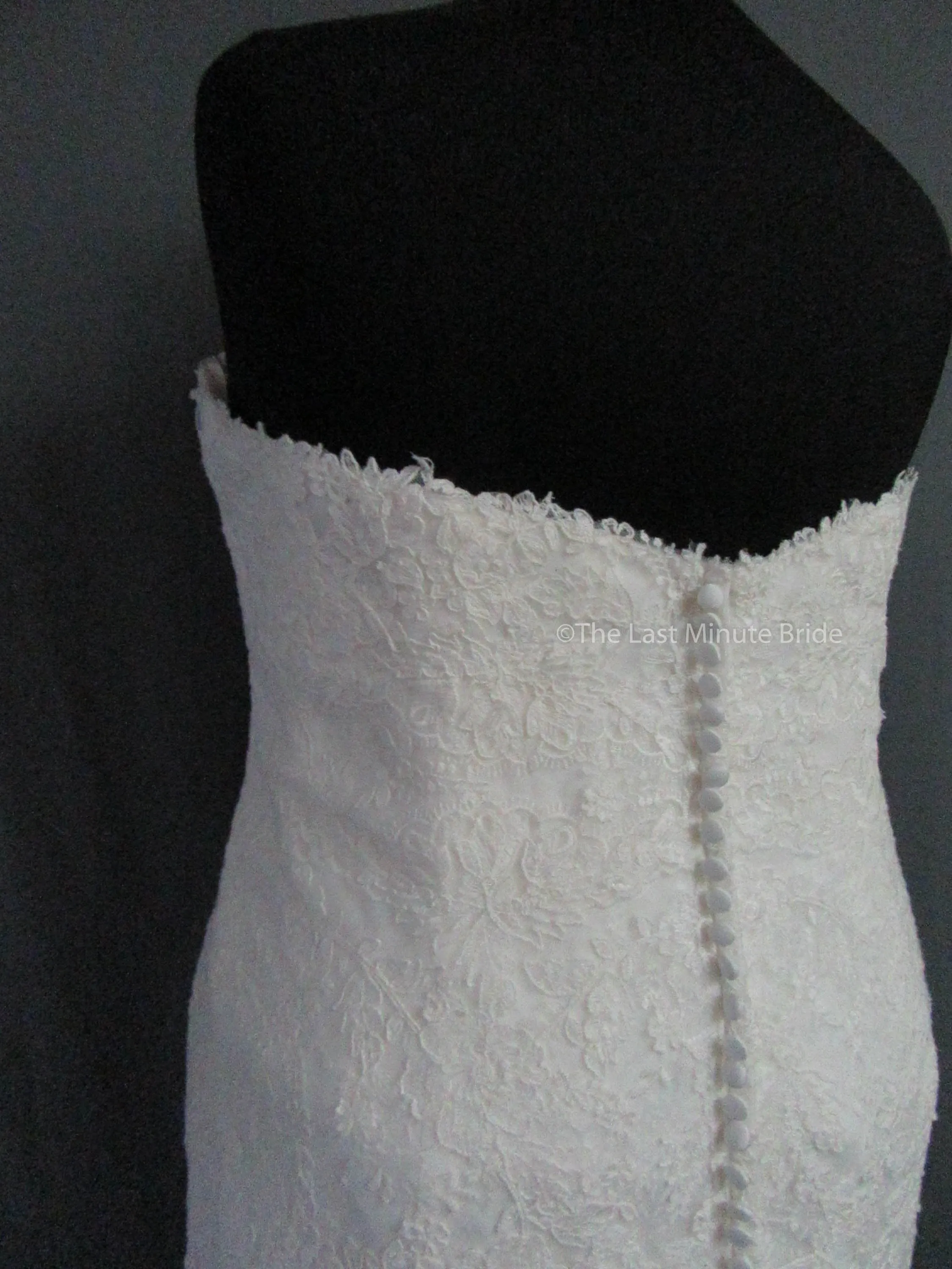 Rebecca Ingram Sally 7RS916