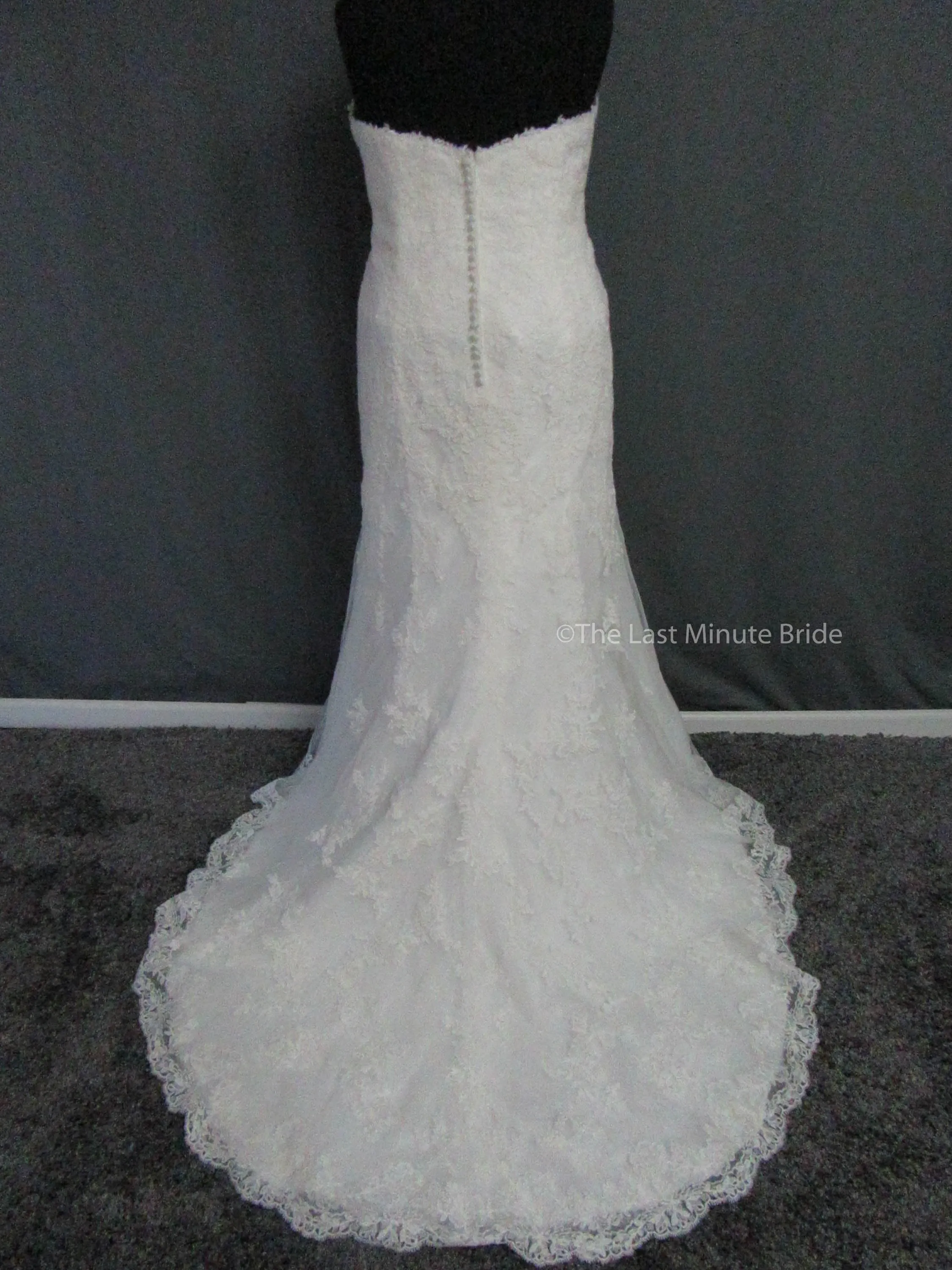 Rebecca Ingram Sally 7RS916