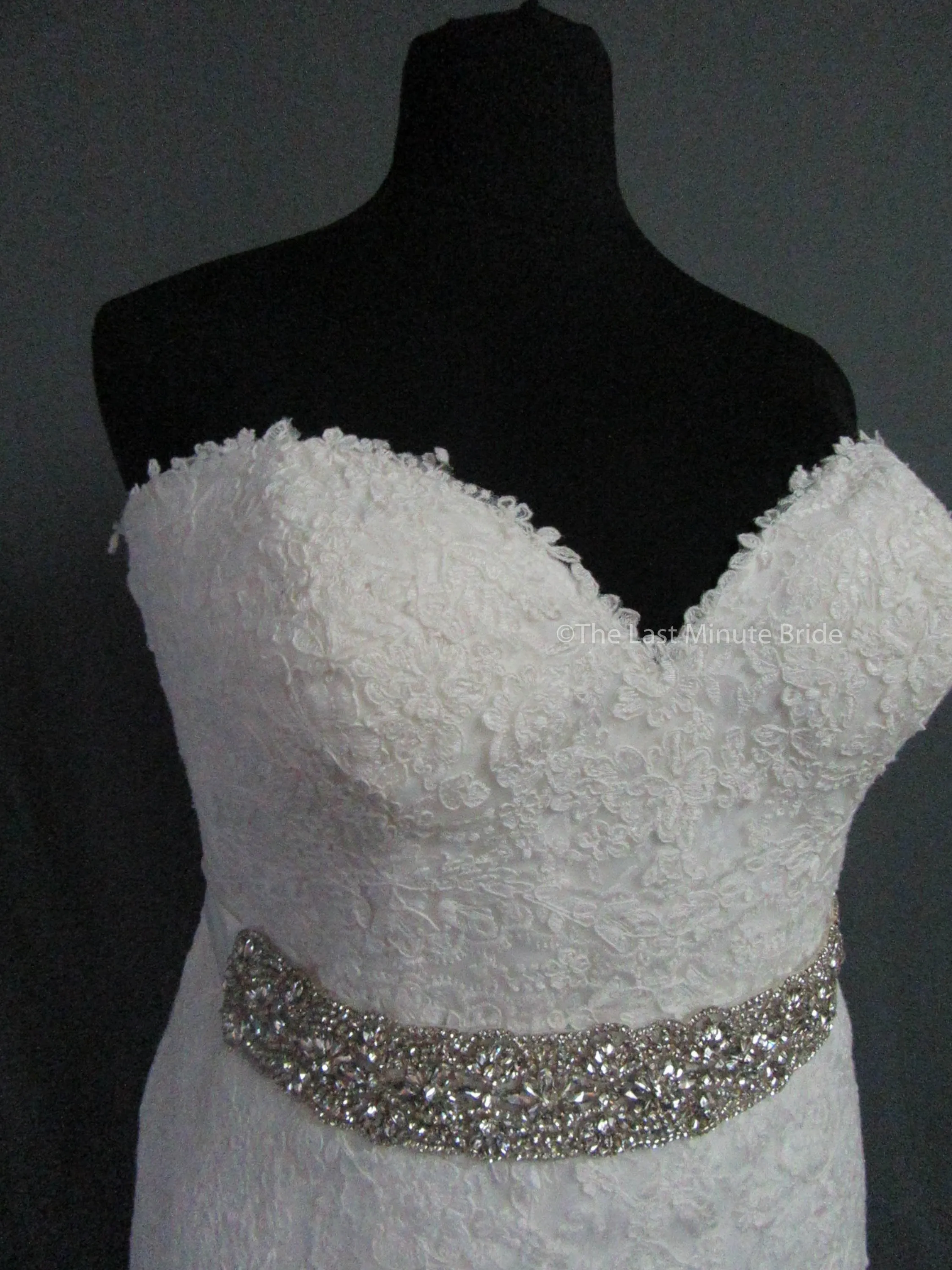 Rebecca Ingram Sally 7RS916