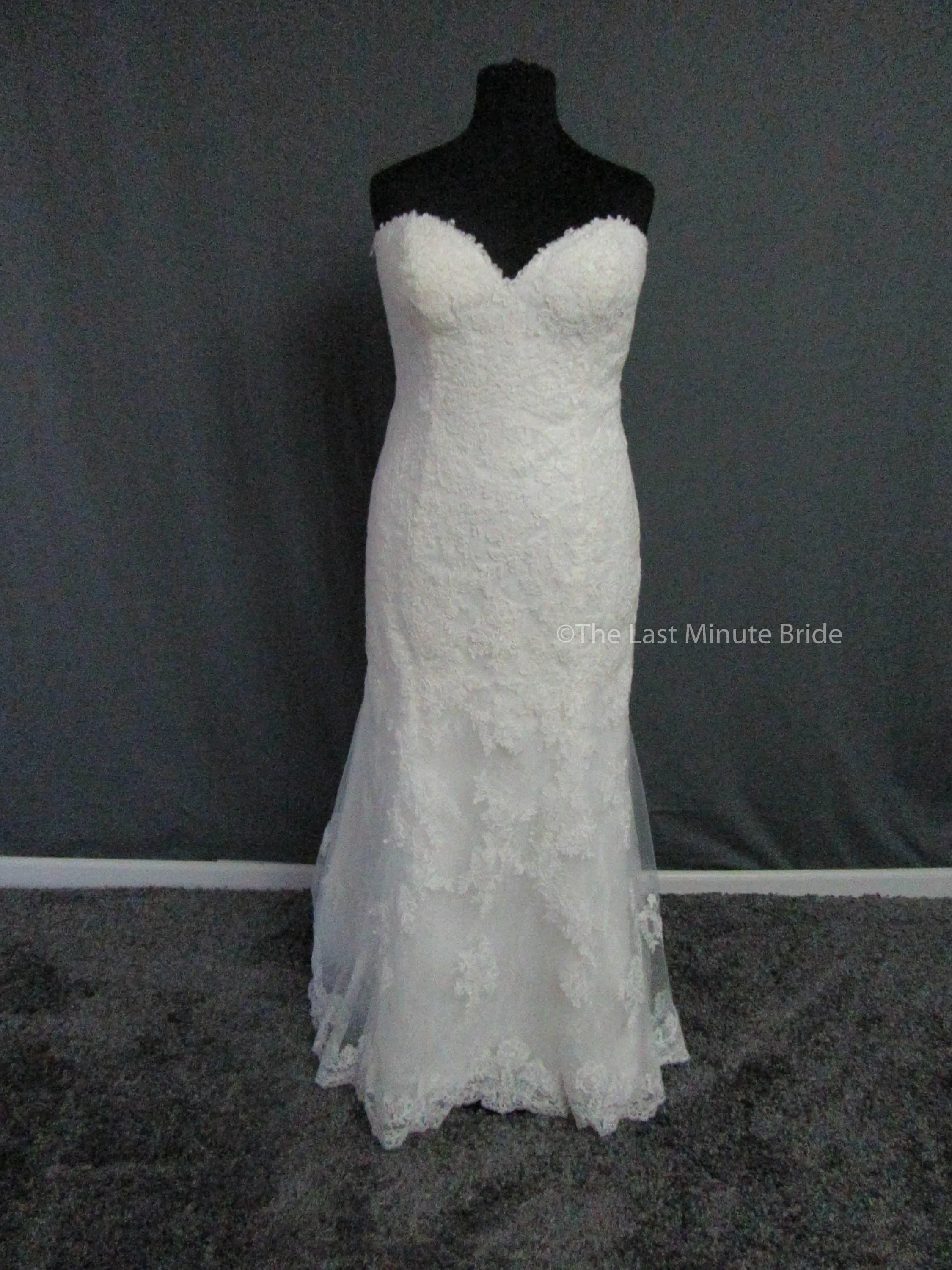 Rebecca Ingram Sally 7RS916