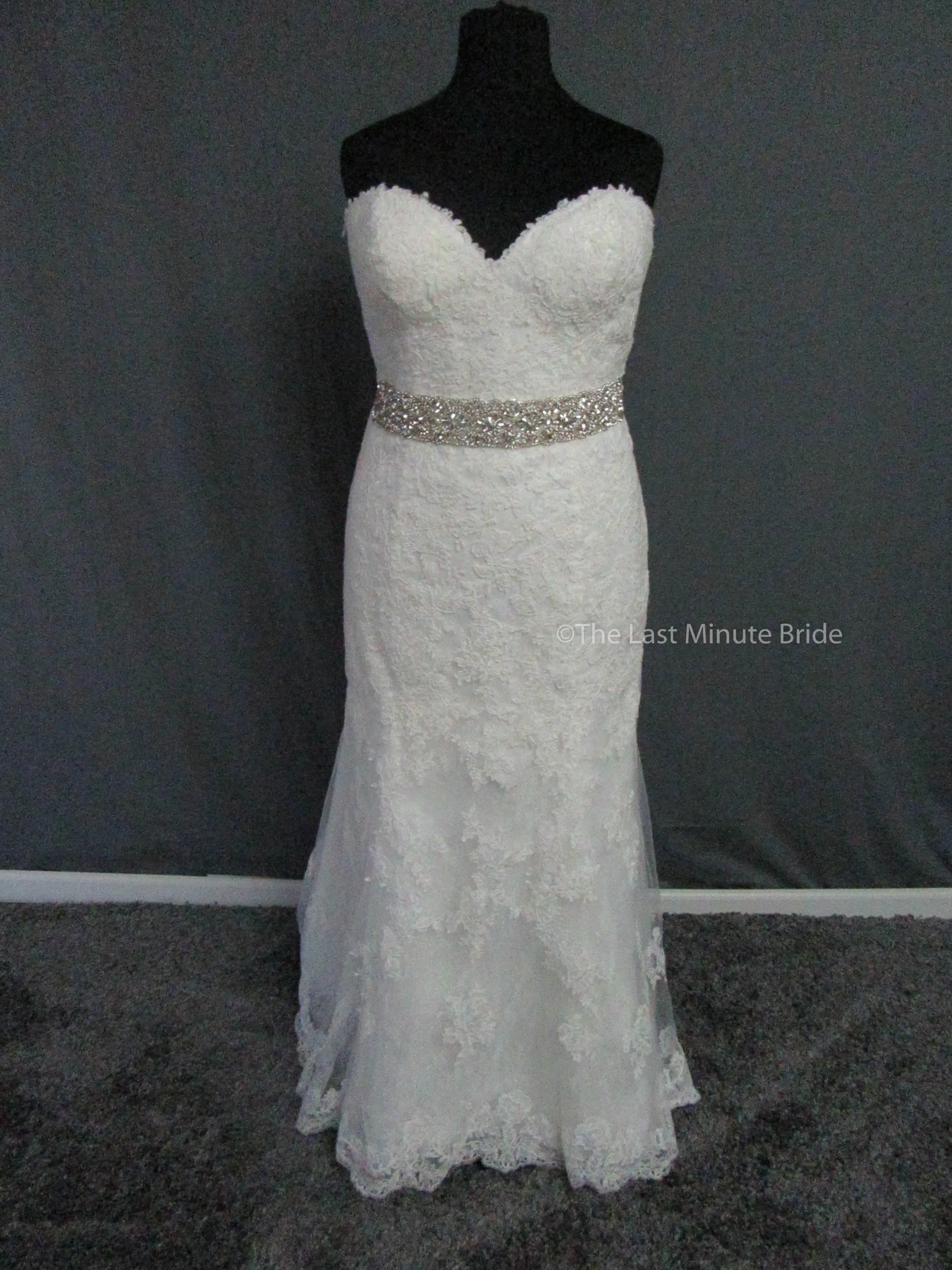 Rebecca Ingram Sally 7RS916
