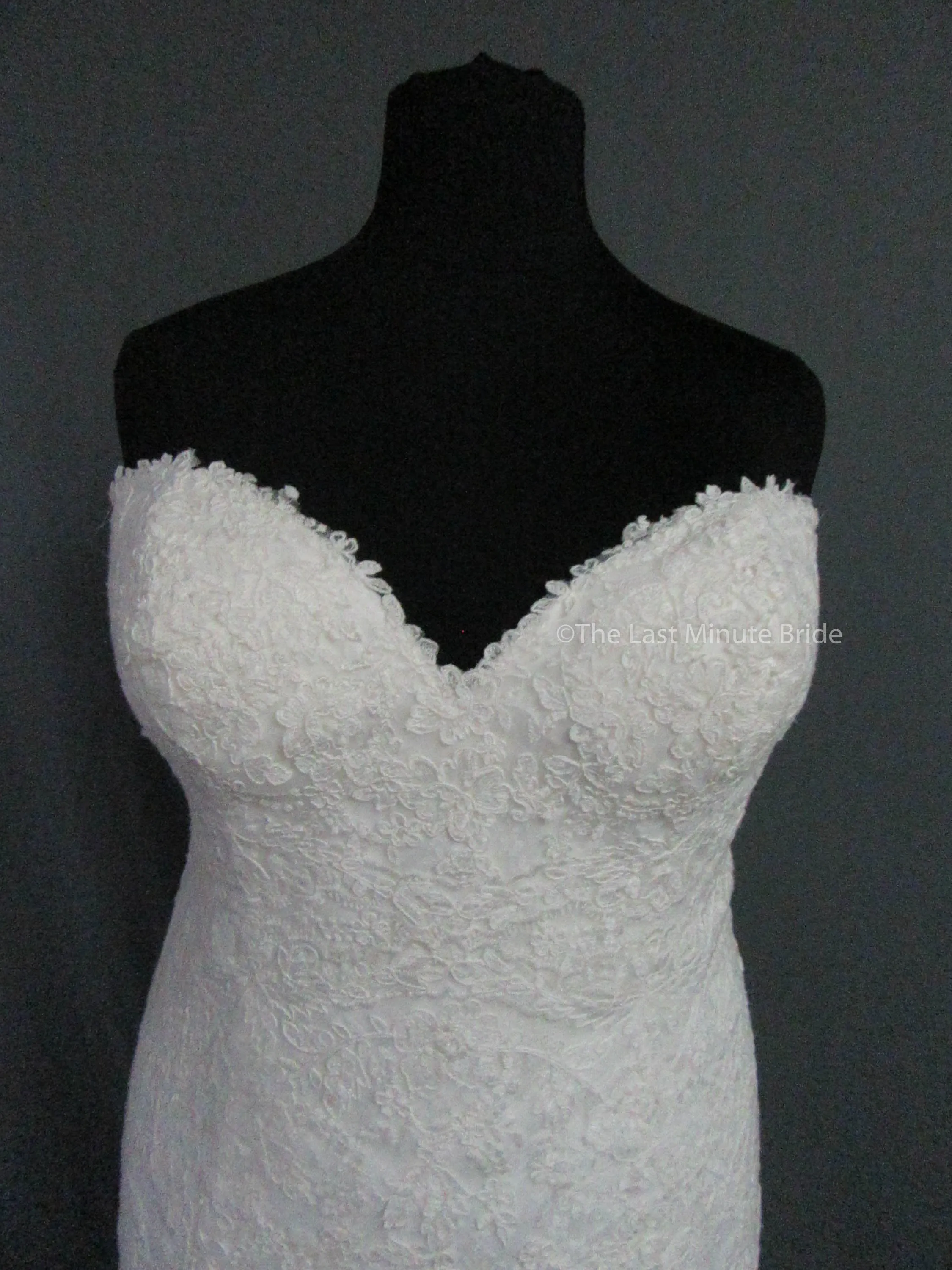 Rebecca Ingram Sally 7RS916