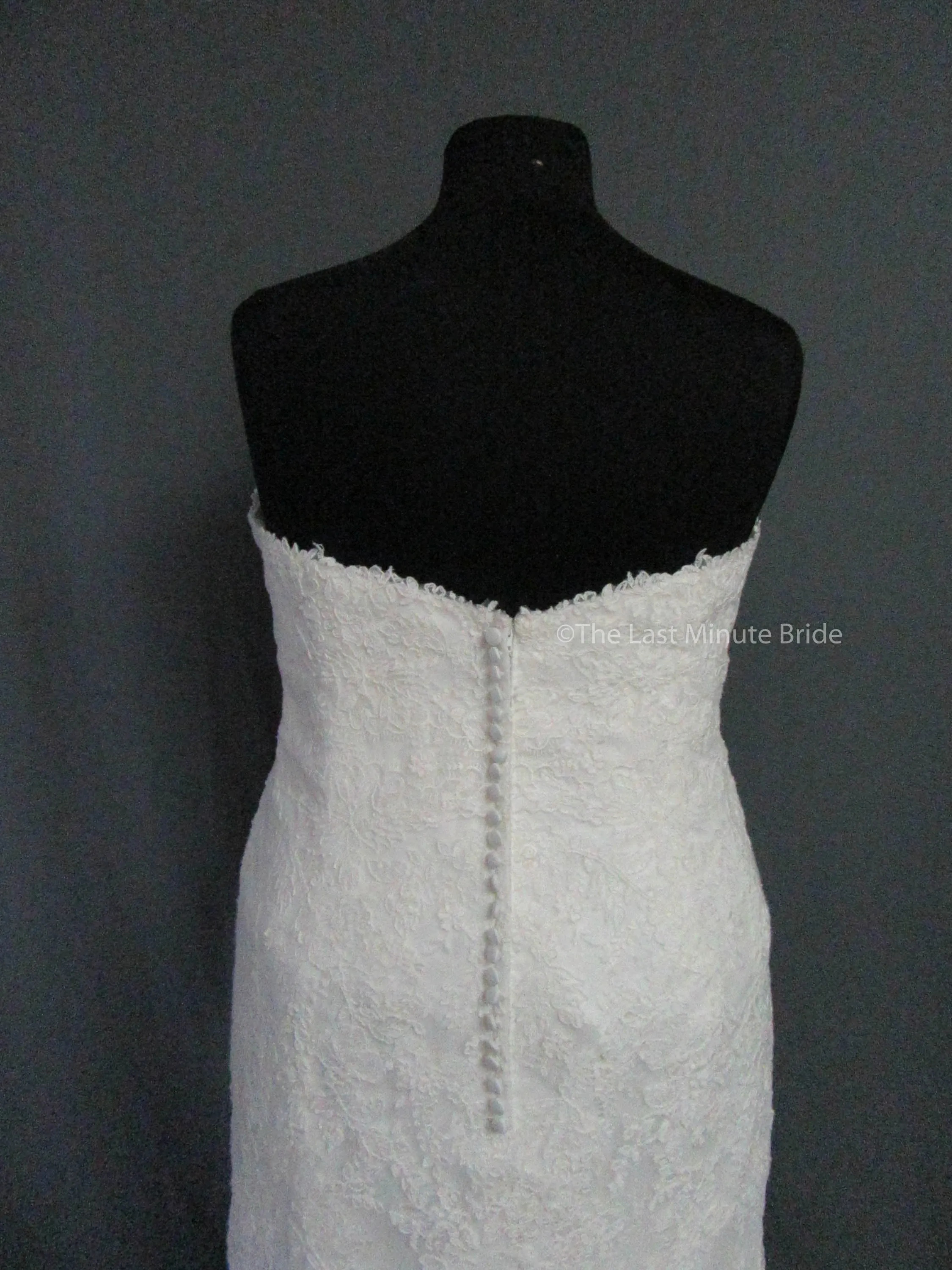 Rebecca Ingram Sally 7RS916