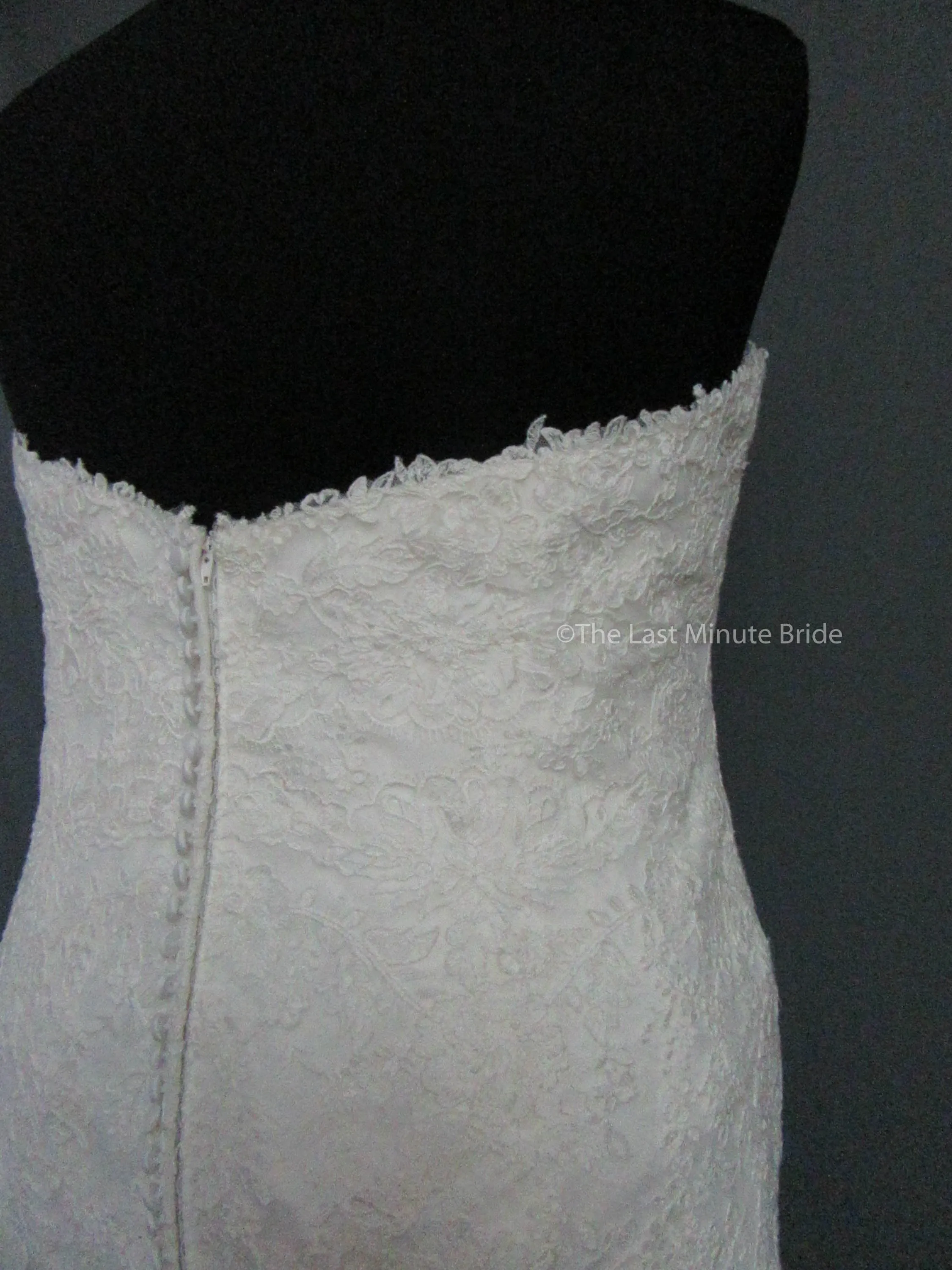 Rebecca Ingram Sally 7RS916