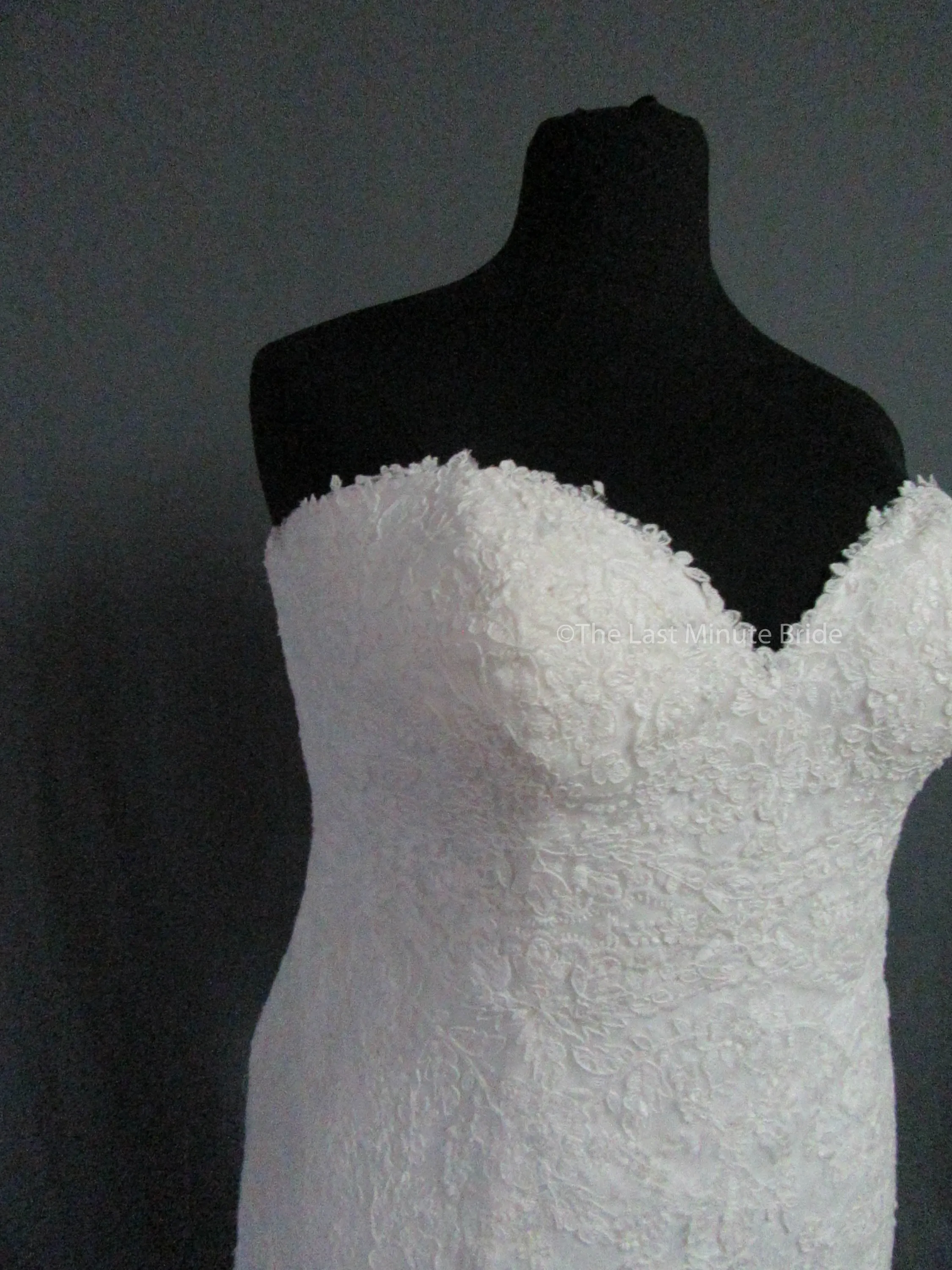 Rebecca Ingram Sally 7RS916