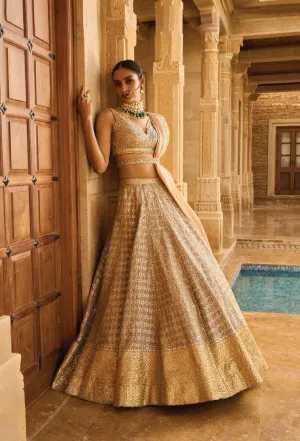 Silver Grey Gota Patti Lehenga Set