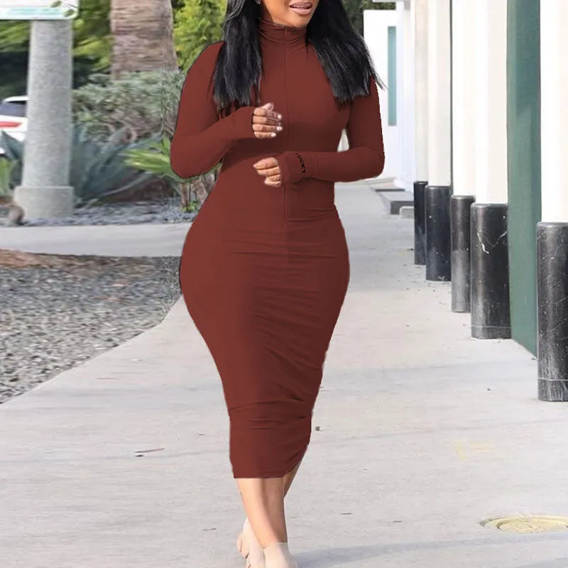 Solid Turtleneck Long Sleeve Bodycon Dress