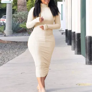 Solid Turtleneck Long Sleeve Bodycon Dress