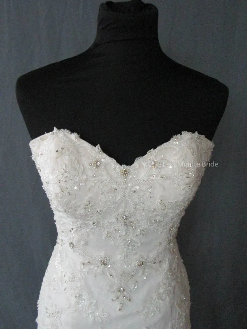 Stella York 6051