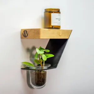 Support à plante