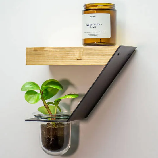 Support à plante