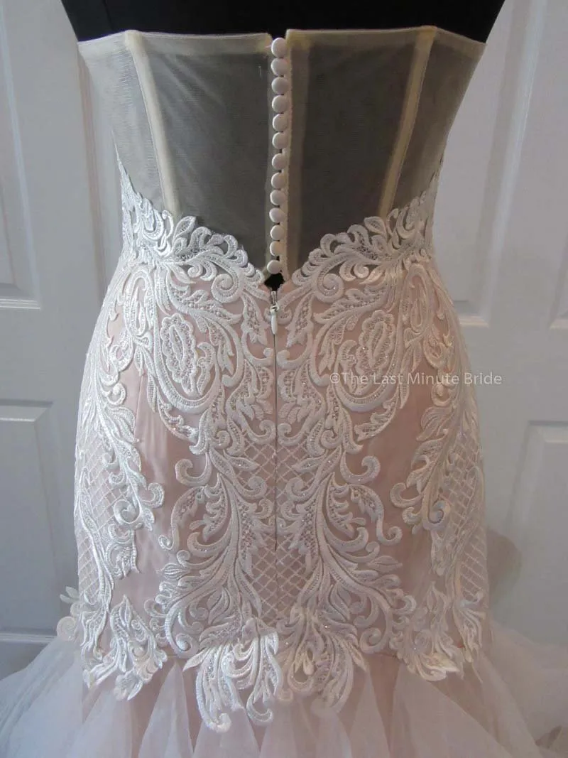 The Last Minute Bride Blakely Rose (Ivory/Moscato In-Stock Sizes)