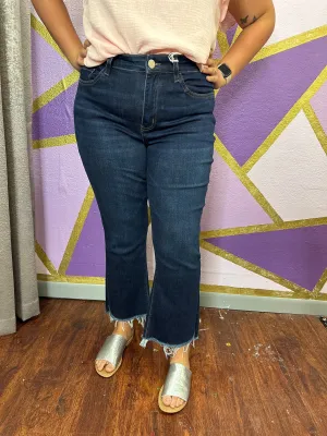 Virgo Denim PLUS: Dark Wash