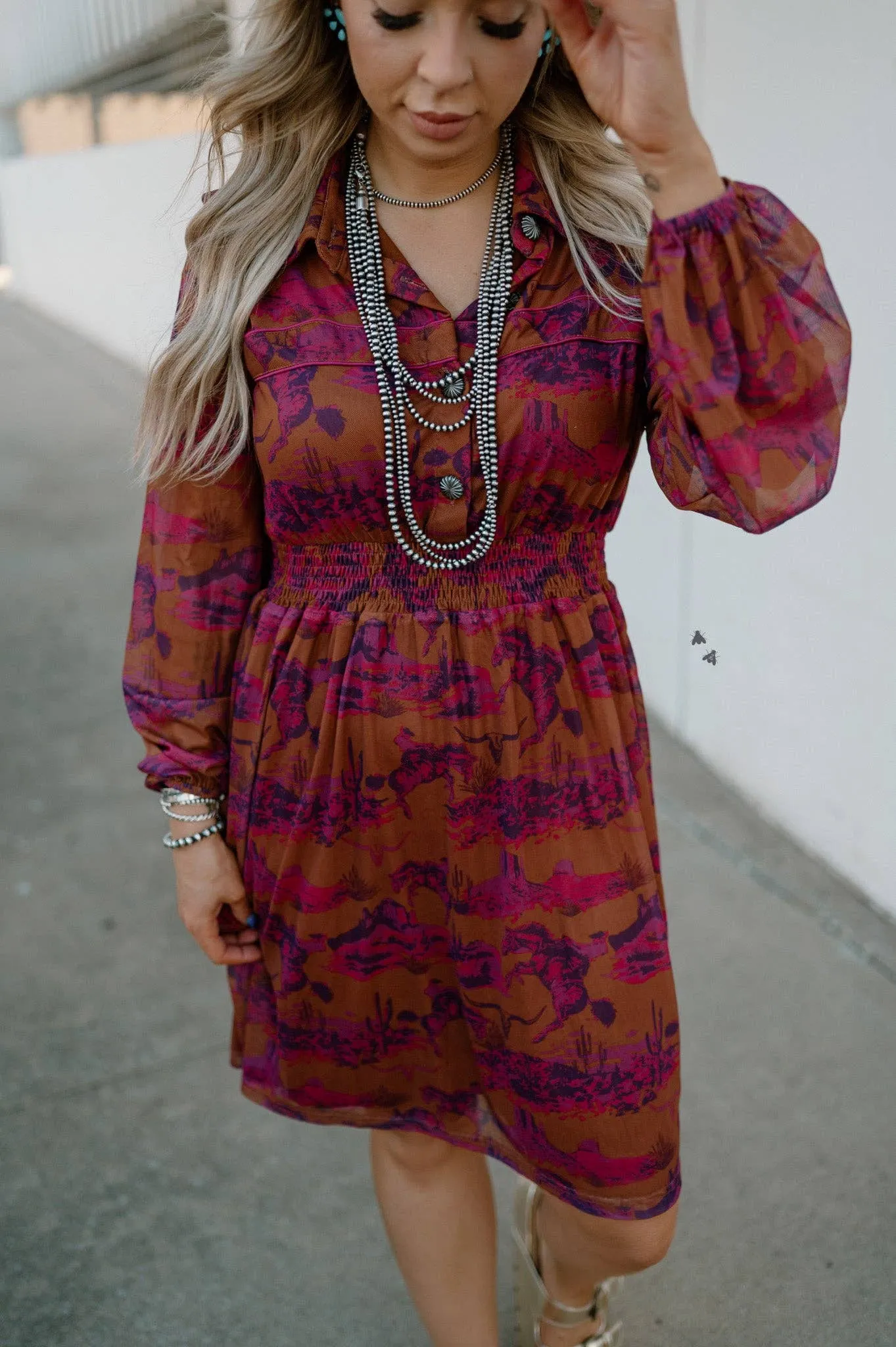 Western print long sleeve dress