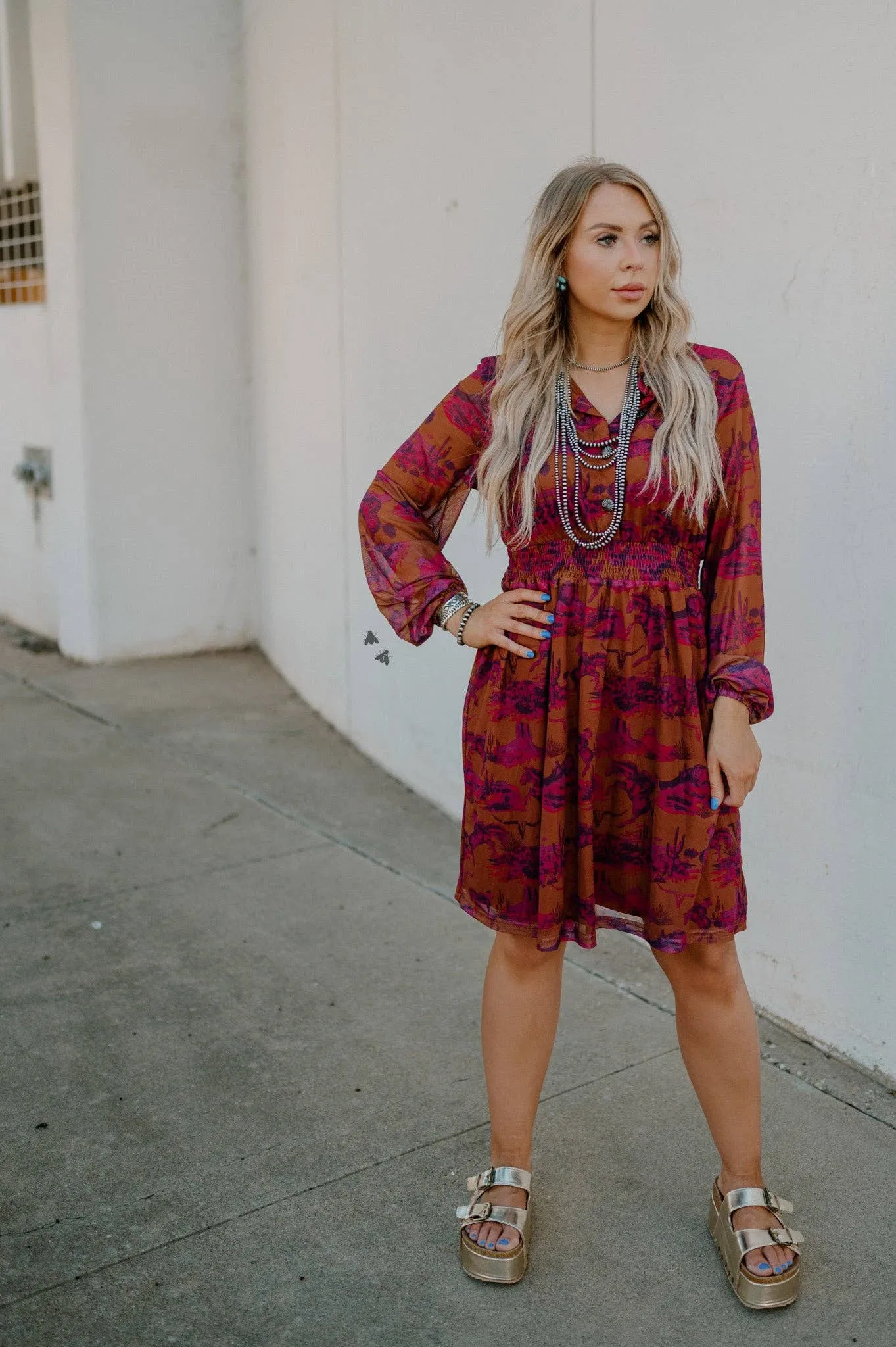 Western print long sleeve dress