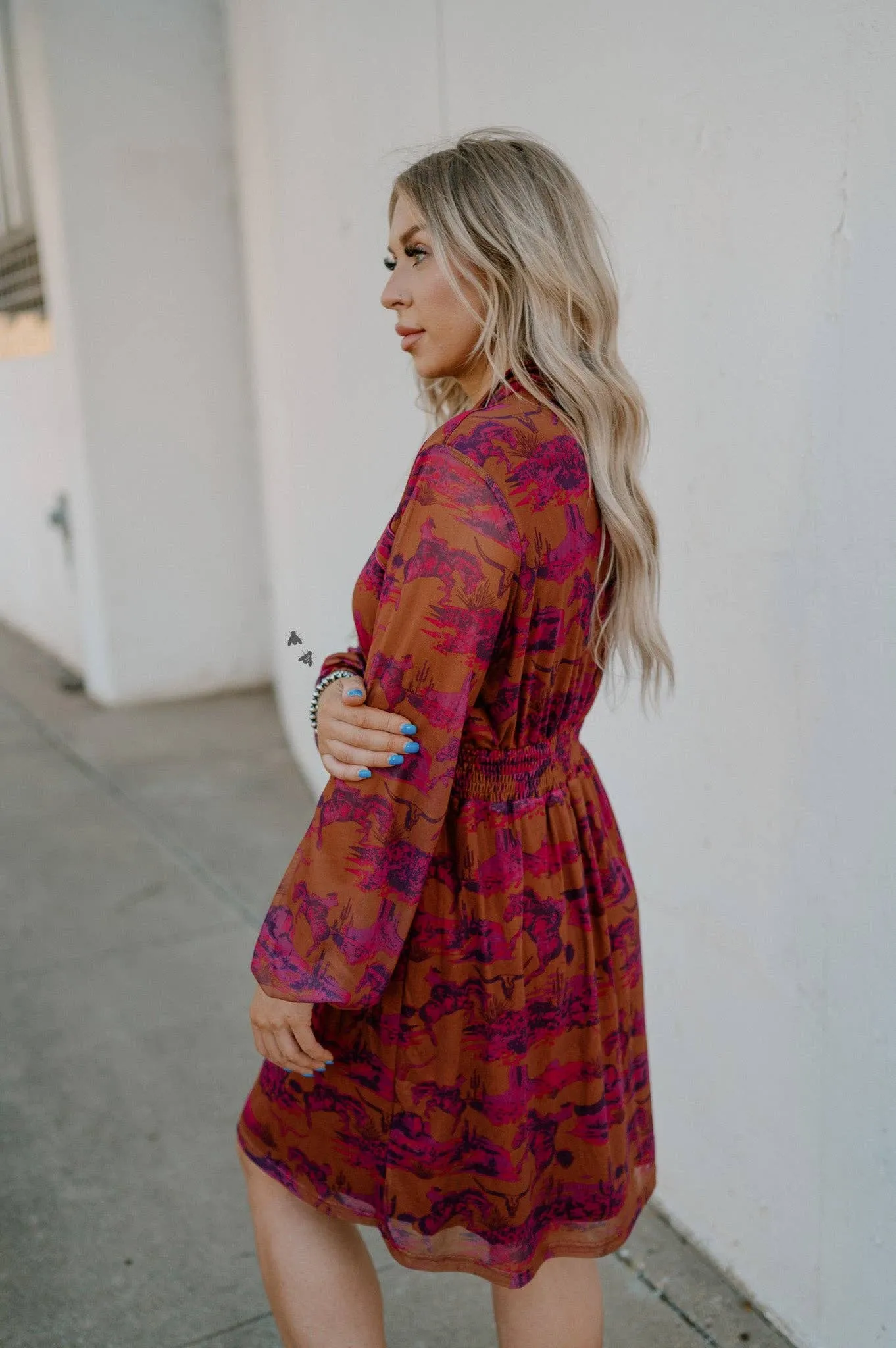 Western print long sleeve dress
