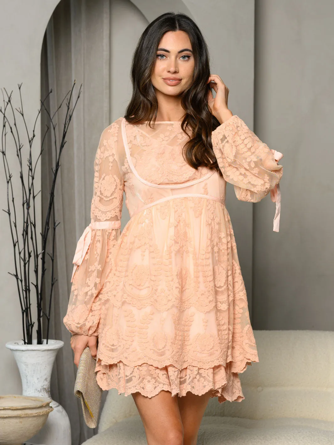 WOMEN'S LONG SLEEVE EMBROIDERY MESH TIERED MINI DRESS